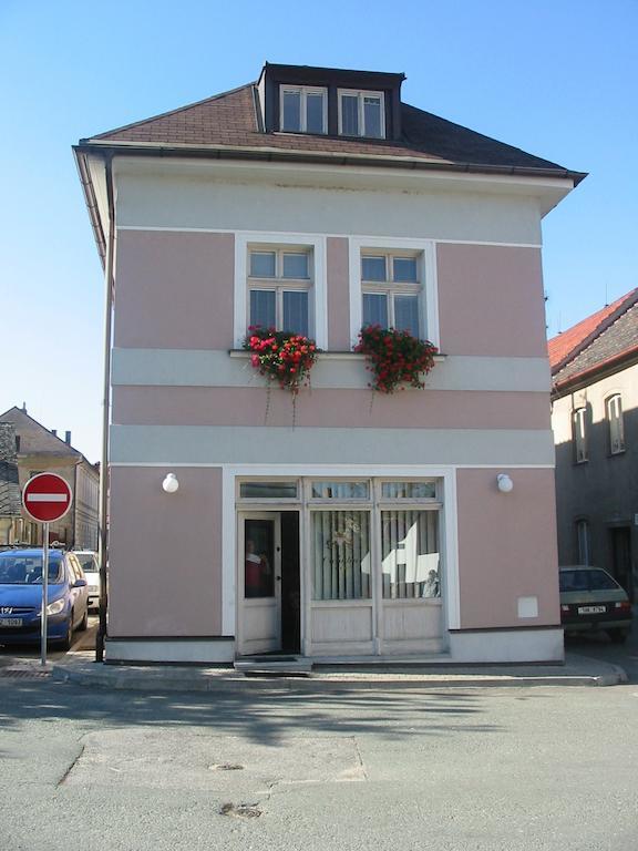 Penzion Orchidea Opočno Exteriér fotografie