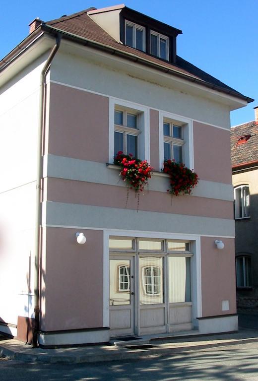 Penzion Orchidea Opočno Exteriér fotografie